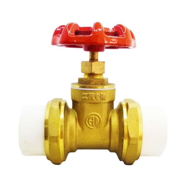 002-ppr brass gate valve