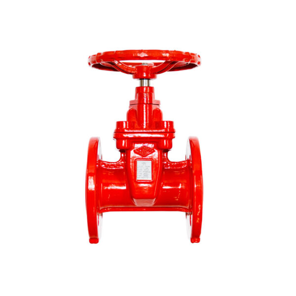 Gate Valve with Rubber Seat BS Standard, Flanged & NRS